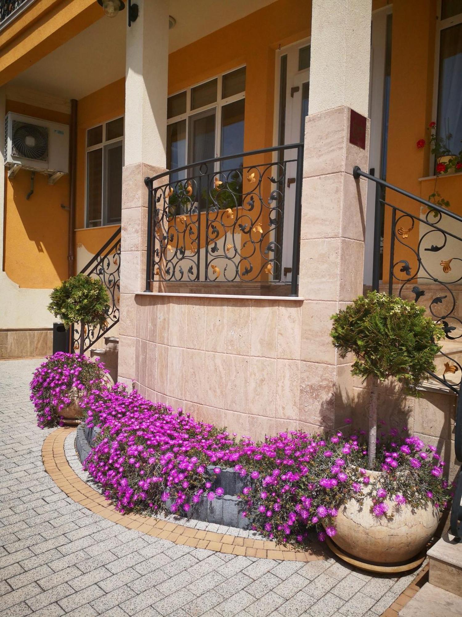 Villa Paris ヒサリャ エクステリア 写真
